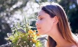 Как мы различаем запахи