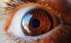 Новый слой в роговице глаза