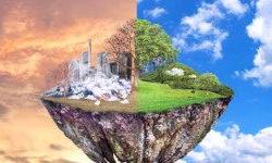 Экологические проблемы