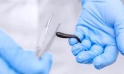 Необычный и эффективный лечебный метод