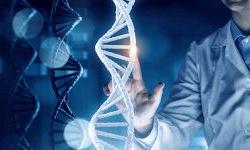 Возможности человека