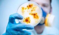 Врач-инфекционист