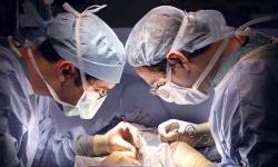 Пересадка органов