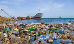 Обучающие курсы по экологической безопасности