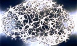 Чем полезна выработка привычки