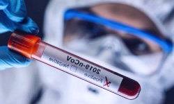 Выставка, посвященная COVID-19