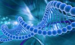 Из-за чего ухудшается работа мозга