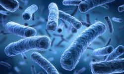 Как победить супербактерии