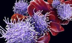 Эффективное лечение больных с ВИЧ