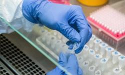 Обучающий курс для сотрудников лаборатории