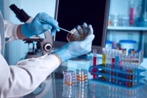 безопасность работы с микроорганизмами iii-iv групп патогенности